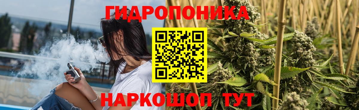 Бошки марихуана планчик Знаменск